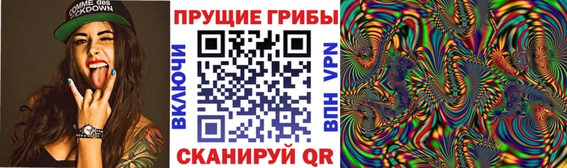 Галлюциногенные грибы Cubensis Чегем