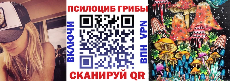 Купить  Чегем  Галлюциногенные грибы мицелий 