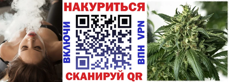 Купить  Чегем  Канабис гибрид 